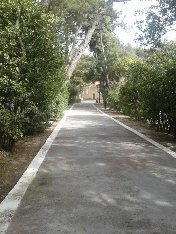 Apartment Nostos