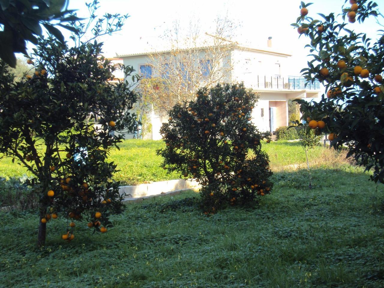 Nostos Apartment