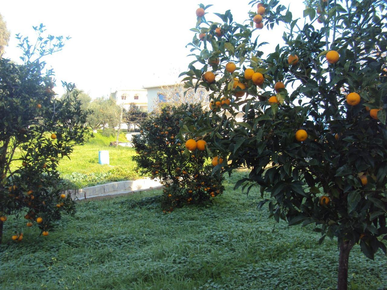 Nostos